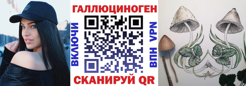 Купить  Гаврилов-Ям  Галлюциногенные грибы Cubensis 
